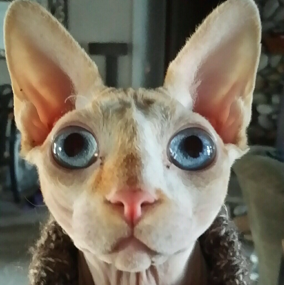 Meet your Posher, Brooke